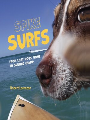 cover image of Spike Surfs